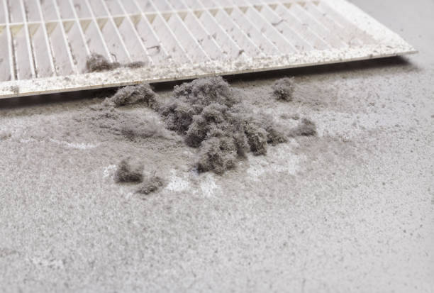 Best Home Air Vent Cleaning  in Sibley, LA