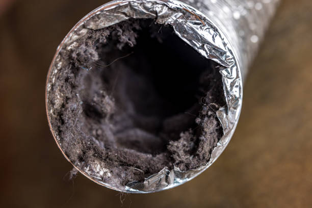 Best Air Duct Cleaning Near Me  in Sibley, LA